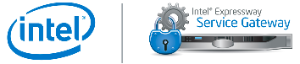 REST Web Services & API Security with Intel