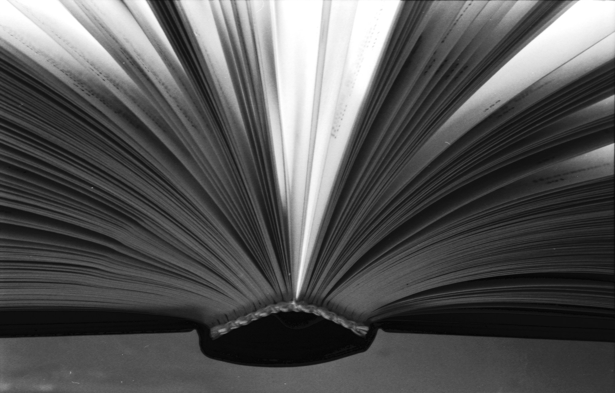 The Era of Distributed Self-Publishing