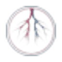 American Endovascular logo