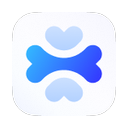 Apidog logo