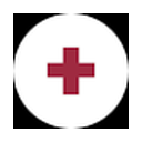 ApiMedic logo