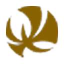 Awavesemi logo