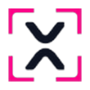 big xyt logo