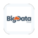 BigDataCloud logo