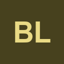 BlindInsight logo