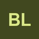 BlockVision logo