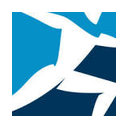 Boston Dynamics logo