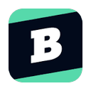 Brainly logo
