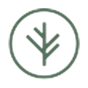 Branch logo