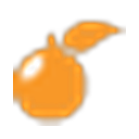 Brandripe logo