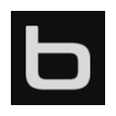 BRINC logo