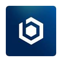 Brinqa logo