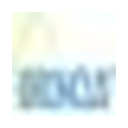 broncus logo