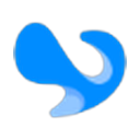 Caisy logo