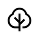 Campflare logo