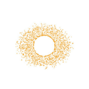 Chi Longevity logo