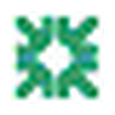 Citizens Financial logo