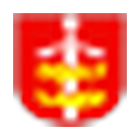 City, Gdynia logo