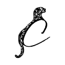 Coveti logo