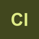 Cyota, Inc logo