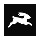 Directus logo