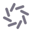 Domino Data Lab logo