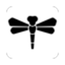Dragonfly logo