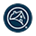 Fannie Mae logo