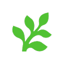 Fern logo