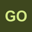 GoInstant logo