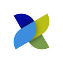 Hexion logo