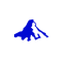 Invesco logo
