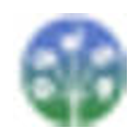 ITIS logo