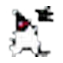JCR logo