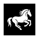 LittleHorse logo