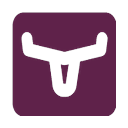 Longhorn logo