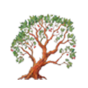 Madrone logo