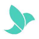 Medwing logo