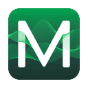 Mindset logo