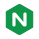 NGINX logo