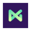 NMI logo