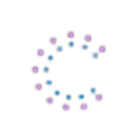 Noah Medical logo