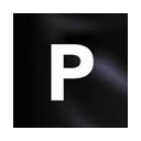 Panora logo