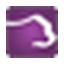 Pawfinity logo