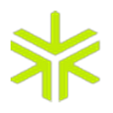 Perion logo