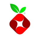 Pi-hole logo