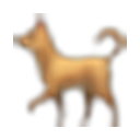 PlaceDog logo