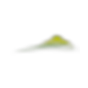 PotlatchDeltic logo