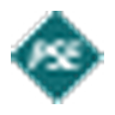 Puget Energy logo