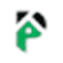 Punch Software logo